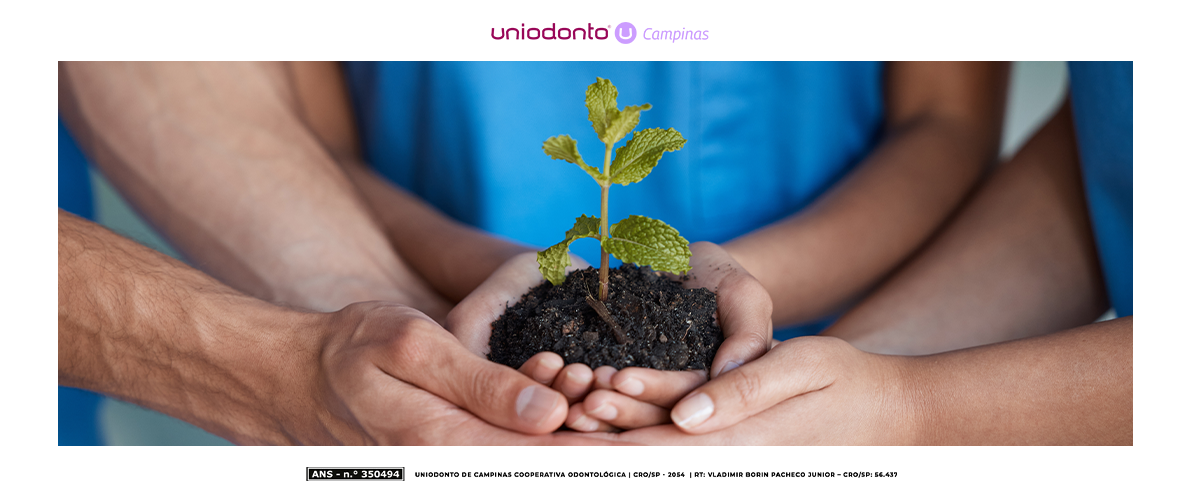 Entenda como as cooperativas promovem a sustentabilidade, com responsabilidade social e impacto ambiental positivo nas comunidades onde atuam.
